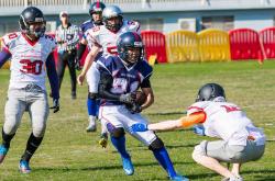 lol季中赛-关于多项运动激烈较量，运动技能出神入化的信息