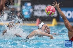 lol全球总决赛-全球瞩目！游泳赛事即将收官的简单介绍