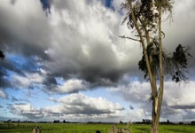 开云下载-瑞士豪取大胜，晋级欧洲杯四强