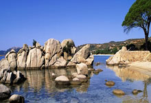 lol季中赛-日本乒乓球队逆转奥地利乒乓球队，奥恰洛夫惊艳世界